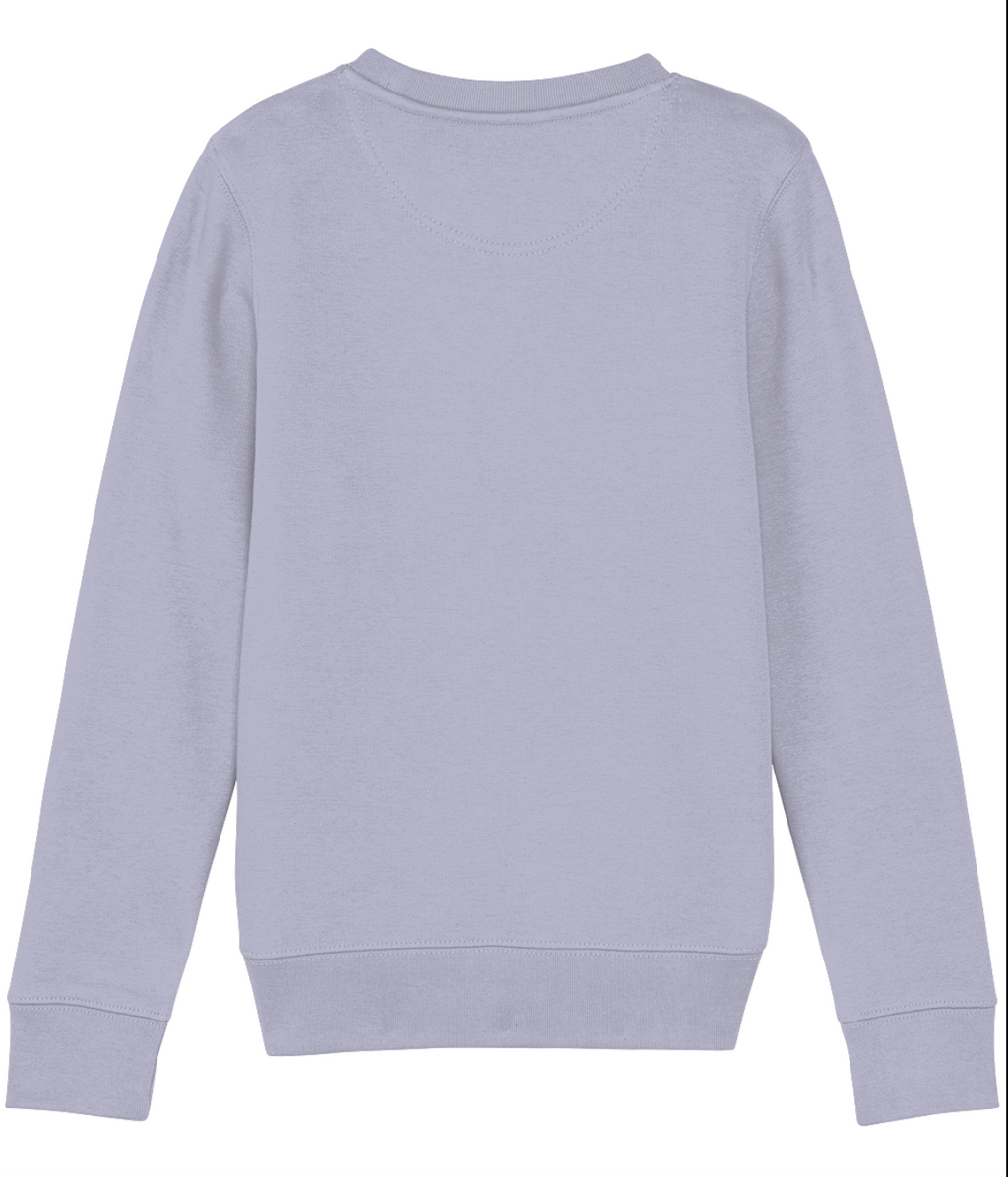 Light purple sweatshirt on a white background